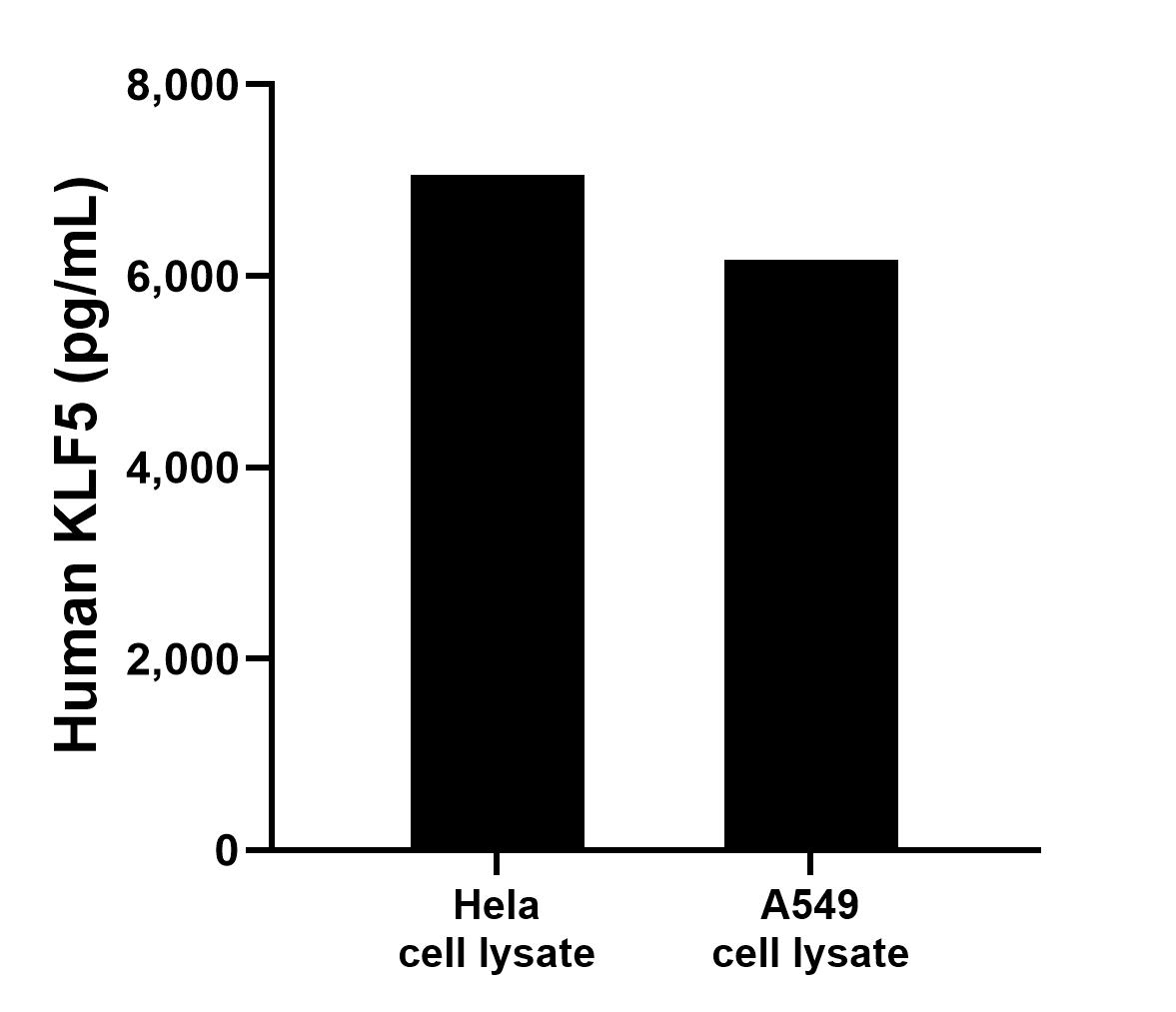 Sample test of MP00155-2